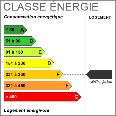 Diagnostic de Performance Énergétique : E